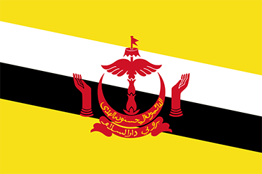 brunei flag